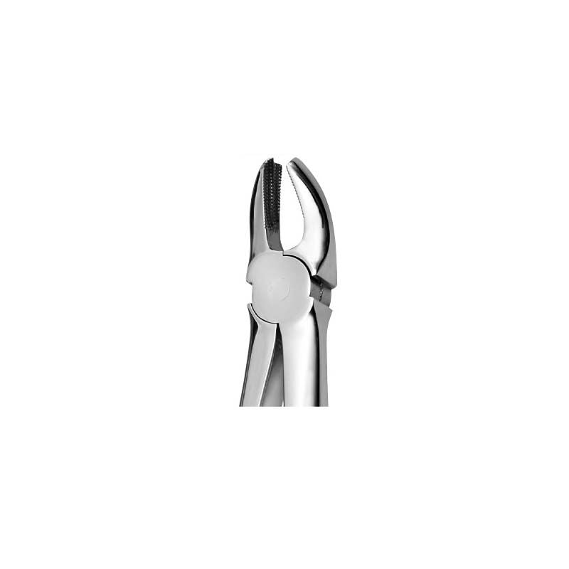 Upper Molar Forcep Right Side