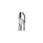 Upper Molar Forcep Right Side