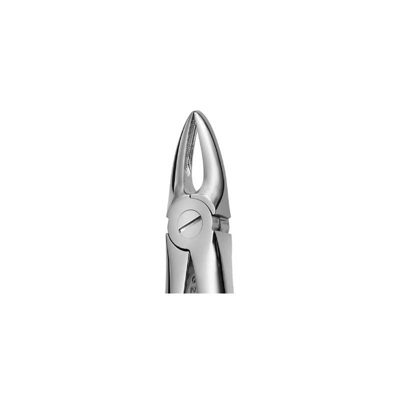 Upper Front Roots Forcep
