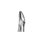 Upper Premolars Forcep
