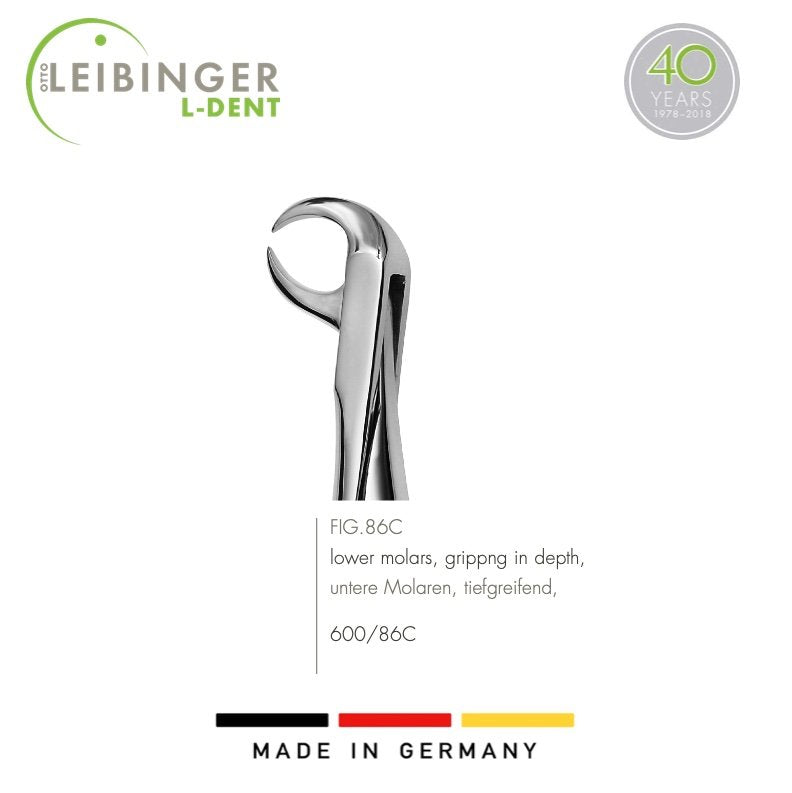 Cow Horn Lower Molar Forcep